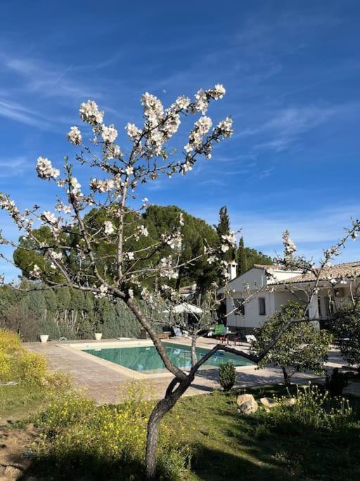 Casa Galiana. Villa Argés Buitenkant foto